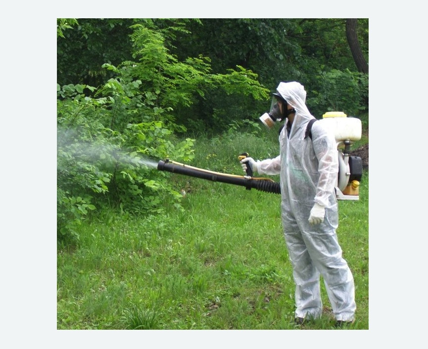 обработка территории от клещей в Восточном Бирюлево города Москвы