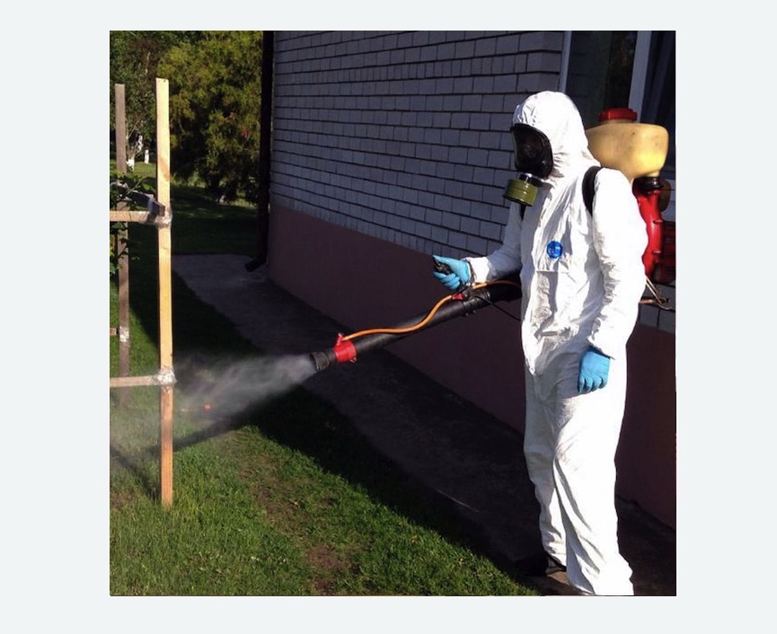 травля клещей на участке в Восточном Бирюлево города Москвы