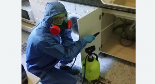 Уничтожение муравьев в квартире. Бирюлёво Восточное 