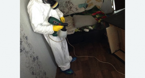 Обработка квартир от насекомых в Восточном Бирюлево города Москвы