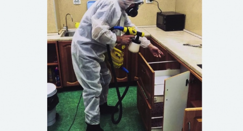 Дезинсекция квартиры. Бирюлёво Восточное 