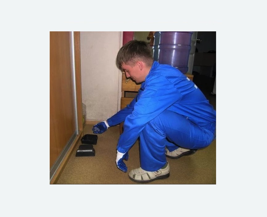 Дератизация крыс в Восточном Бирюлево города Москвы