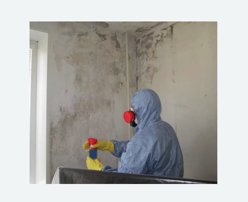 Удаление плесени в квартире в Восточном Бирюлево города Москвы