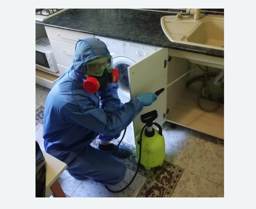 обработка от муравьев в квартире в Восточном Бирюлево города Москвы