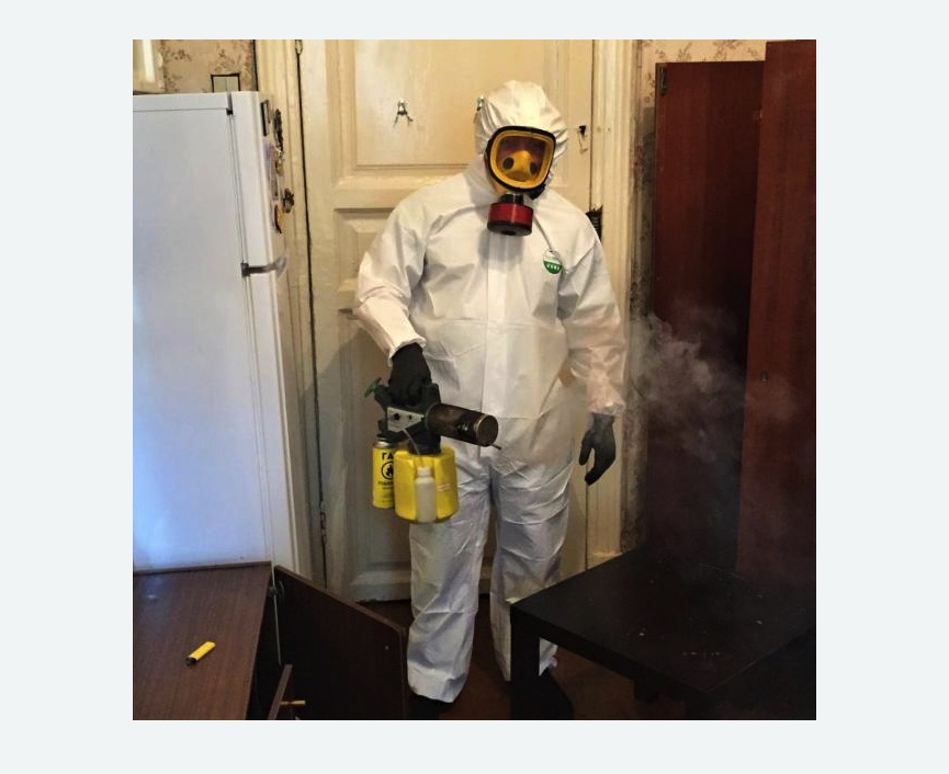 уничтожение муравьев в квартире в Восточном Бирюлево города Москвы